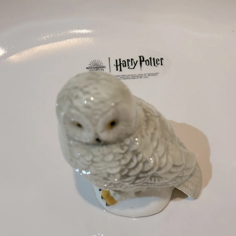 Harry‎ Potter Hedwig Owl Large Serving Platter by Rae Dunn Ceramics